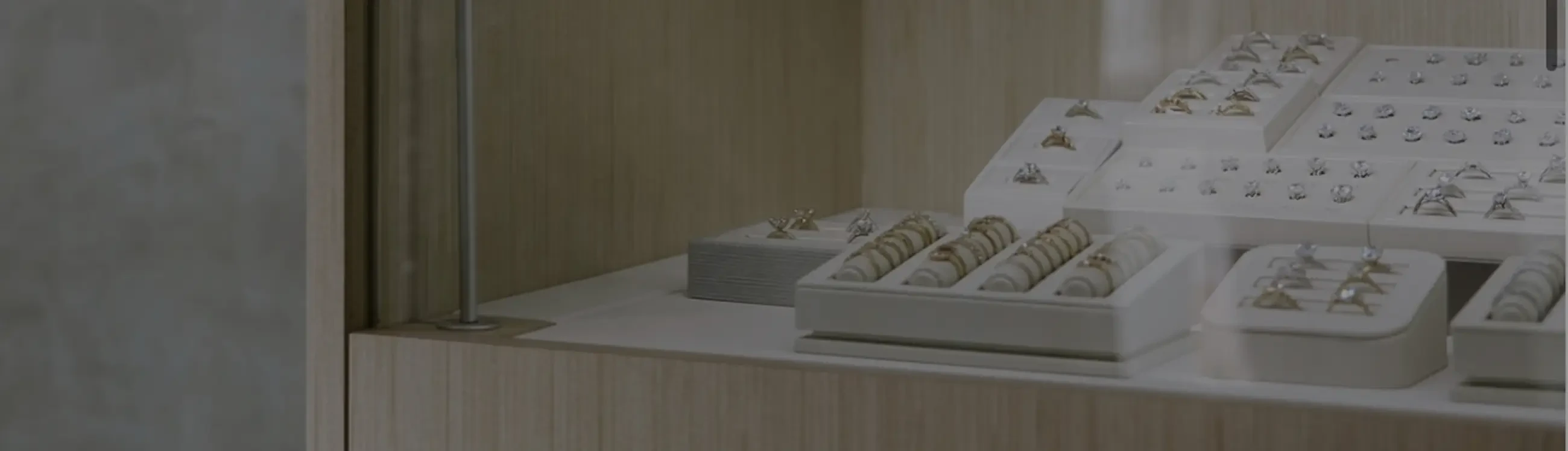 Photo of the model wearing a white bridal gown - Desktop Image