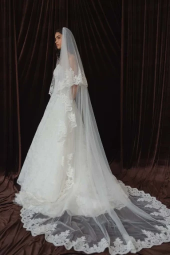 Jenny by Jenny Yoo V22554 Ezra Veil #1 thumbnail