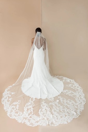 YDBN Genevieve Veil #1 thumbnail
