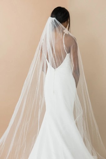 YDBN Genevieve Veil #2 thumbnail